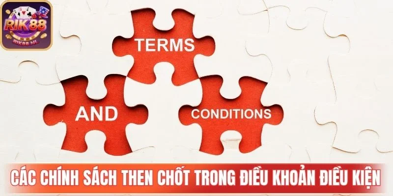 Các chính sách then chốt trong điều khoản điều kiện Rik88