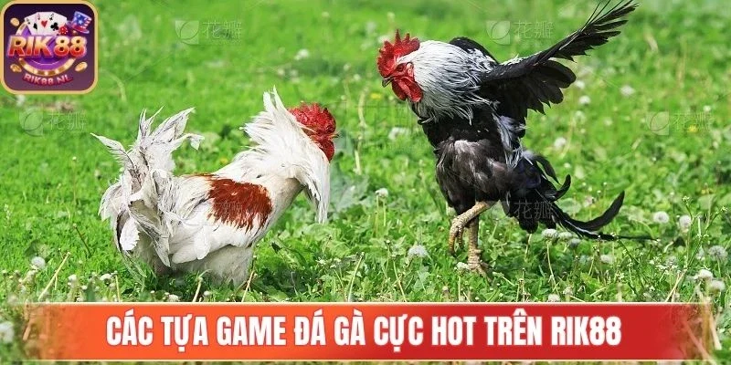 Đá Gà Rik88 mang trải nghiệm công bằng và nhanh