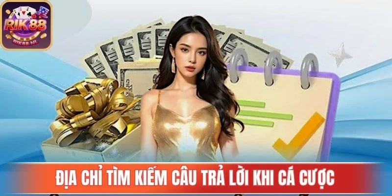 Địa chỉ tìm kiếm câu trả lời khi cá cược